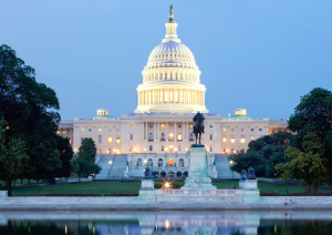 Government Services