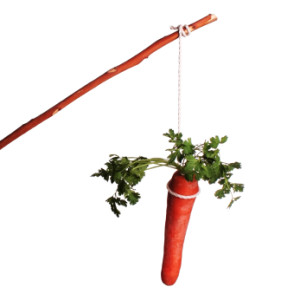 Carrot